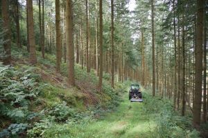 2023-08-23r Mowing through Douglas fir plantation.jpg