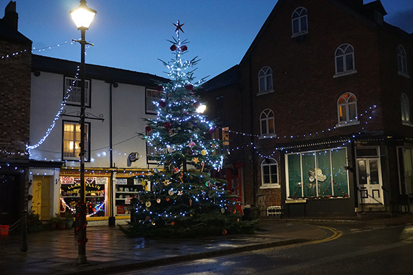 Christmas Tree Lit Up